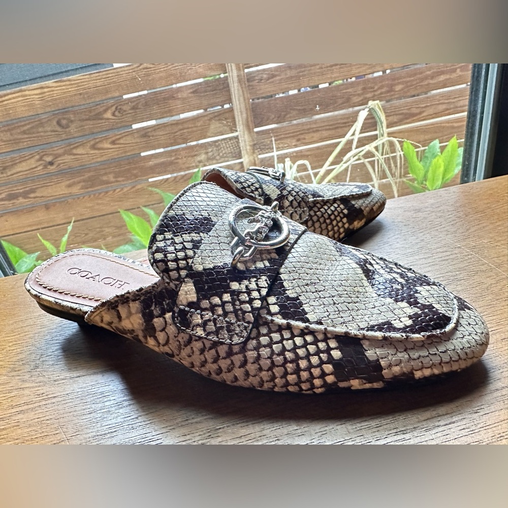 Coach Women's Snakeskin Pattern Shoes - Brown